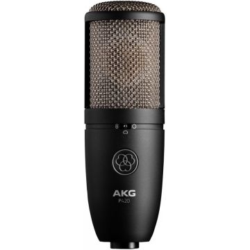 224590 AKG P420