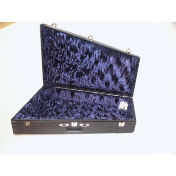 230791 Kariso 215 Konzerthorn, kurz