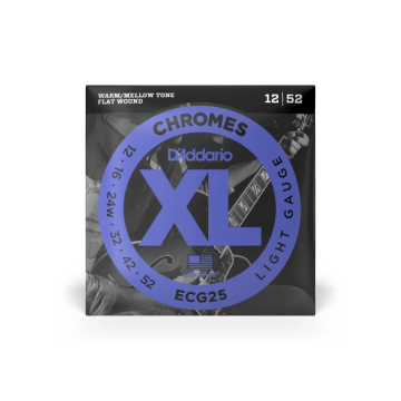 268144 DAddario ECG25 Flat Wound