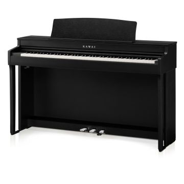 248194 Kawai CN-301B
