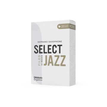 254503 DAddario O. Select Jazz Sopransax 2S