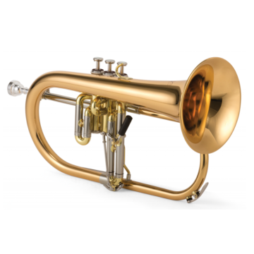 291955 XO 1646RL en si bugle