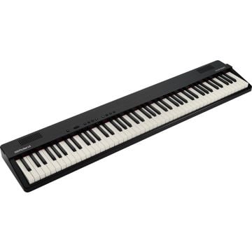 306491 Roland GO:Piano88PX