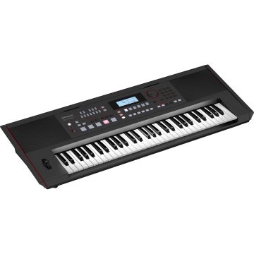 248860 Roland E-X50