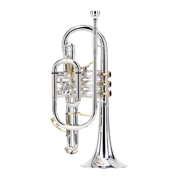 289998 Besson BE2028-S Prestige en B
