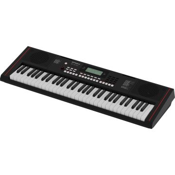 272529 Roland E-X10