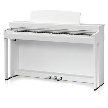 248204 Kawai CN-301WH