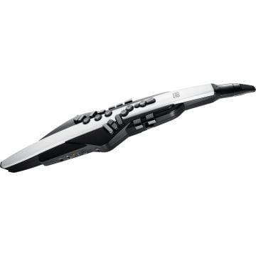 306888 Roland AE-20 Aerophone