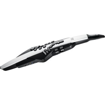 306888 Roland Aerofono AE-20