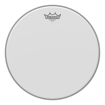 246744 Remo Ambassador Coated 6''