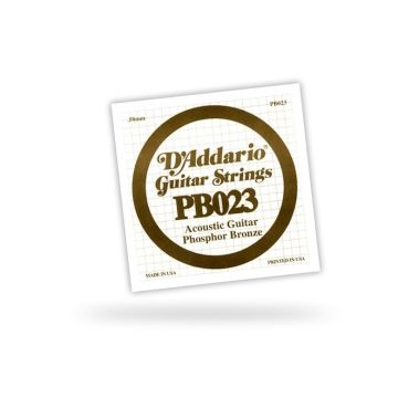 281394 DAddario PB023 cadena simple - 023