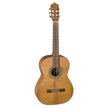 305001 La Mancha Aliso macizo