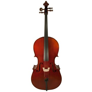 288749 Valentina Cello VC-1904 3/4