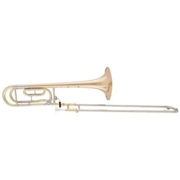 242490 aS Arnolds & Sons ASL-430G Terra in B/F Posaune
