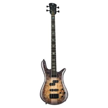 303722 Spector Euro CST