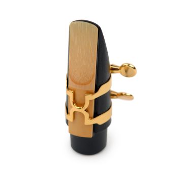 270999 DAddario H-Blattschraube mit Kapsel
