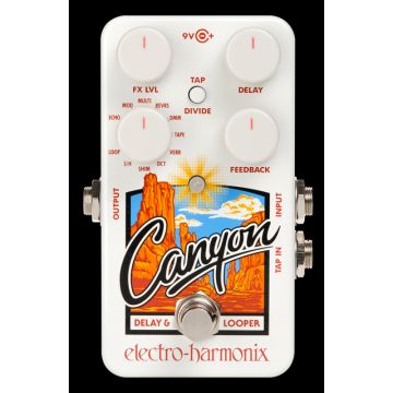 202800 Electro Harmonix Canyon