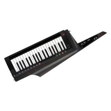 217982 Korg RK-100S2, Schwarz