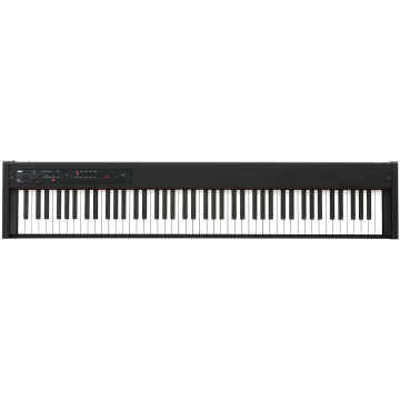 299609 Korg D1 Black