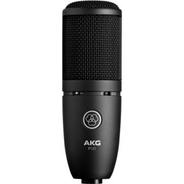 236614 AKG P120