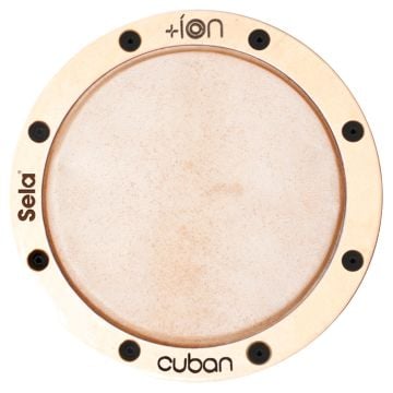 305867 Sela Cuban Ion
