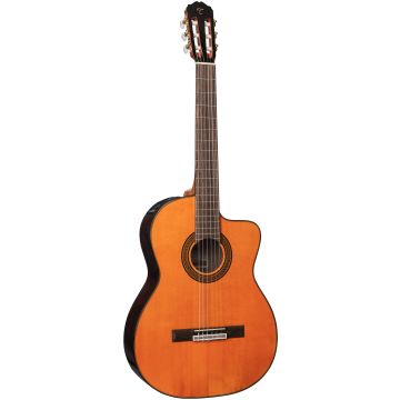 301531 Takamine GC5CE-NAT Natural