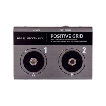 293845 Positive Grid BT2