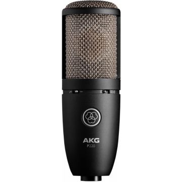 253117 AKG P 220