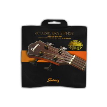 298168 Ibanez IABS4XC Akustik-Bass