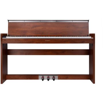 307744 Henry´s Ambre DPA100