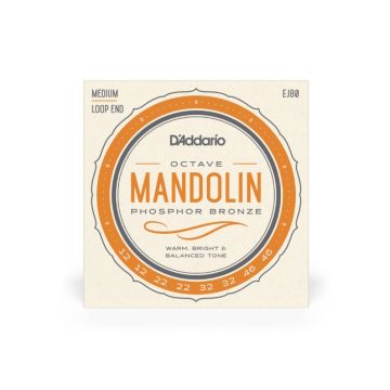 301745 DAddario EJ80 Oktav-Mandoline