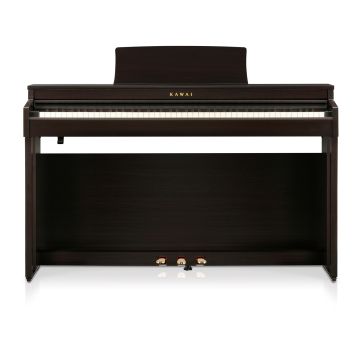 248192 Kawai CN-201RW