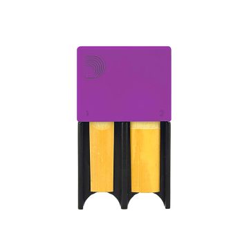 288512 DAddario Reedgard violett