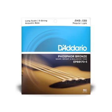 231676 DAddario EPBB170-5 Bajo acústico