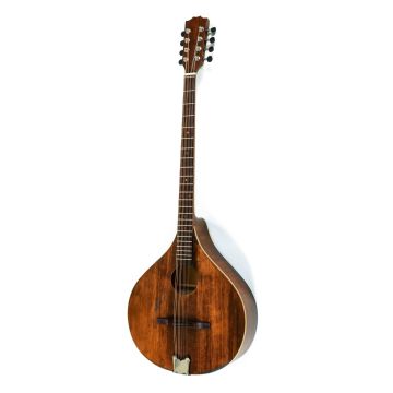 263343 Gewa Bouzouki irlandais