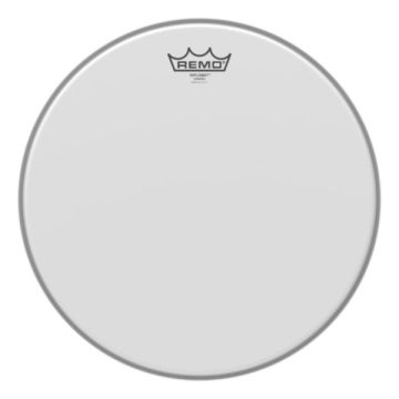 246747 Remo Diplomat Coated 6''