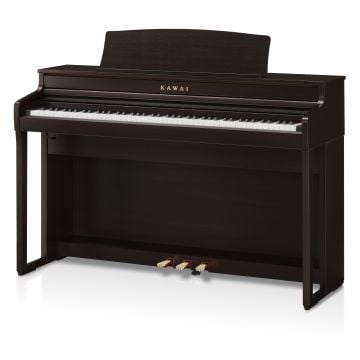 261956 Kawai CA-401 R