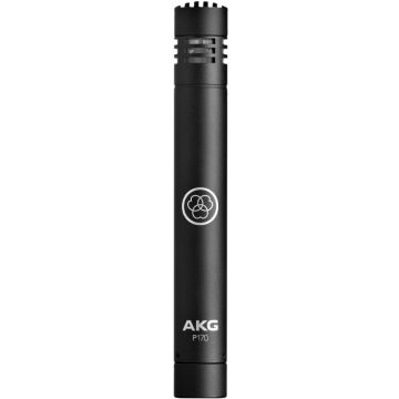 221538 AKG P170