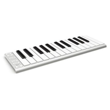 307111 ESI Xkey 25