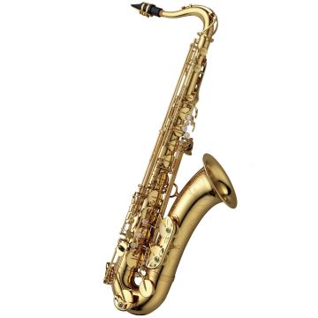 287086 Yanagisawa T-WO1 Professional Tenor