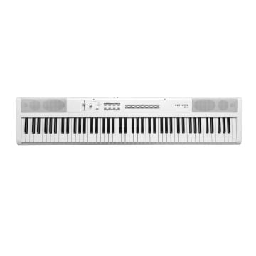 306282 Kurzweil KAS1 White