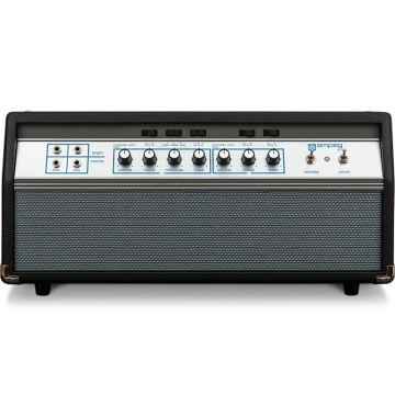 269297 Ampeg Heritage SVT-50th
