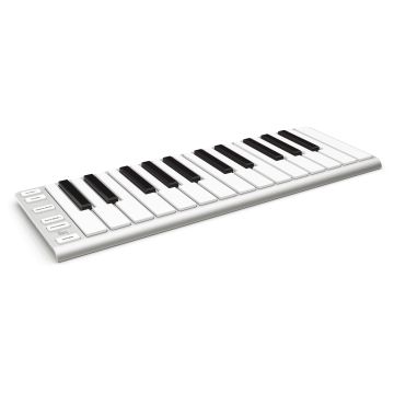 302963 CME Xkey 25 Plata