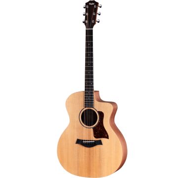 307820 Taylor 14ce