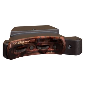 201010 LR Baggs Sesión VTC Set