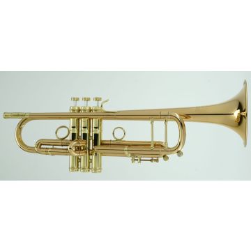 307527 Carol Brass CTR-8880H-GSS-L
