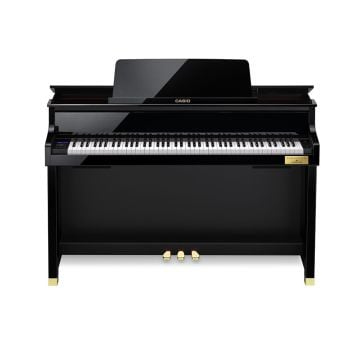 229784 Casio GP-510 BP Bundle