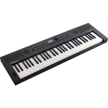 301333 Roland Go:Keys 5 - Graphite