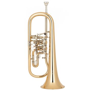 267512 Miraphone 250001100A100 in B Drehventile
