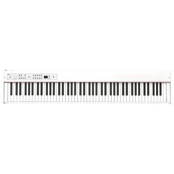 213907 Korg D1 White
